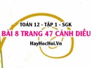 Bài 8 trang 47 Toán 12 tập 1 Cánh Diều